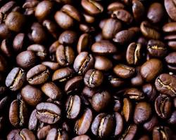 specialty coffee beans || Rustle & Still